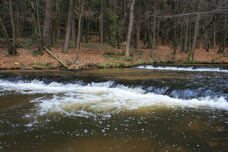 Rostoczek 11.2008 158